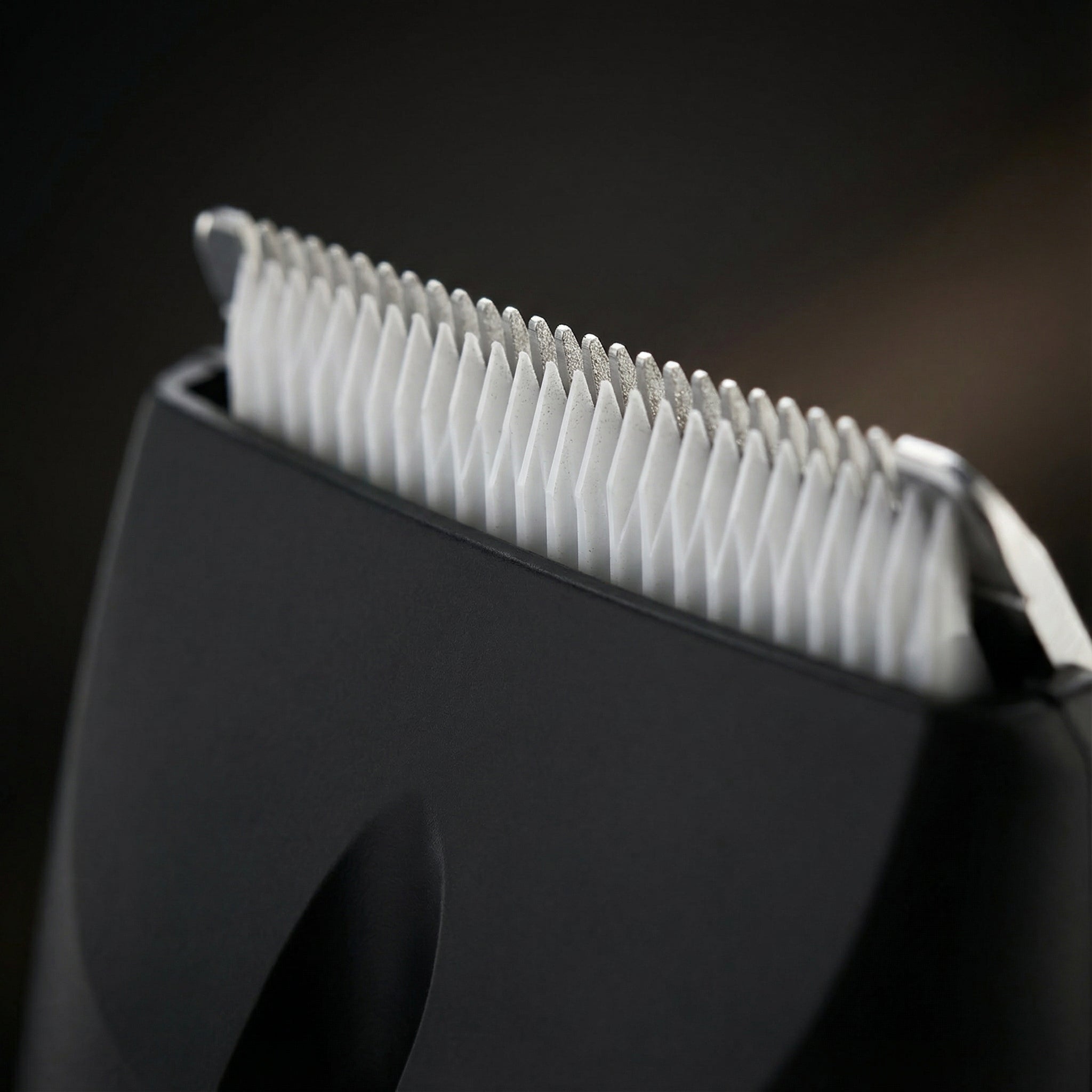 Precision Pro: Beard, Body & Balls Trimmer